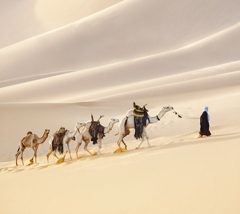 fyc_emw_11_mobile Mobile Image