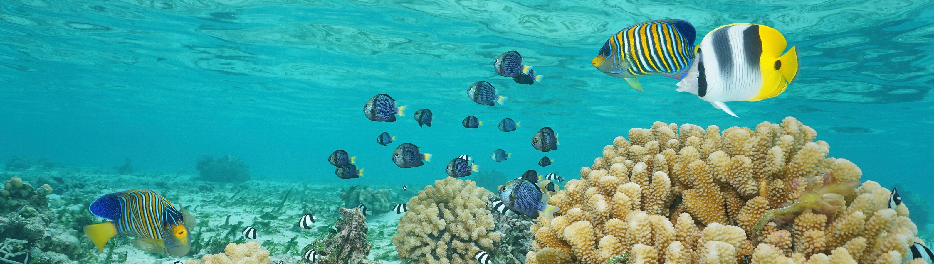 fyc_gv_15 itineraryImageDesktop