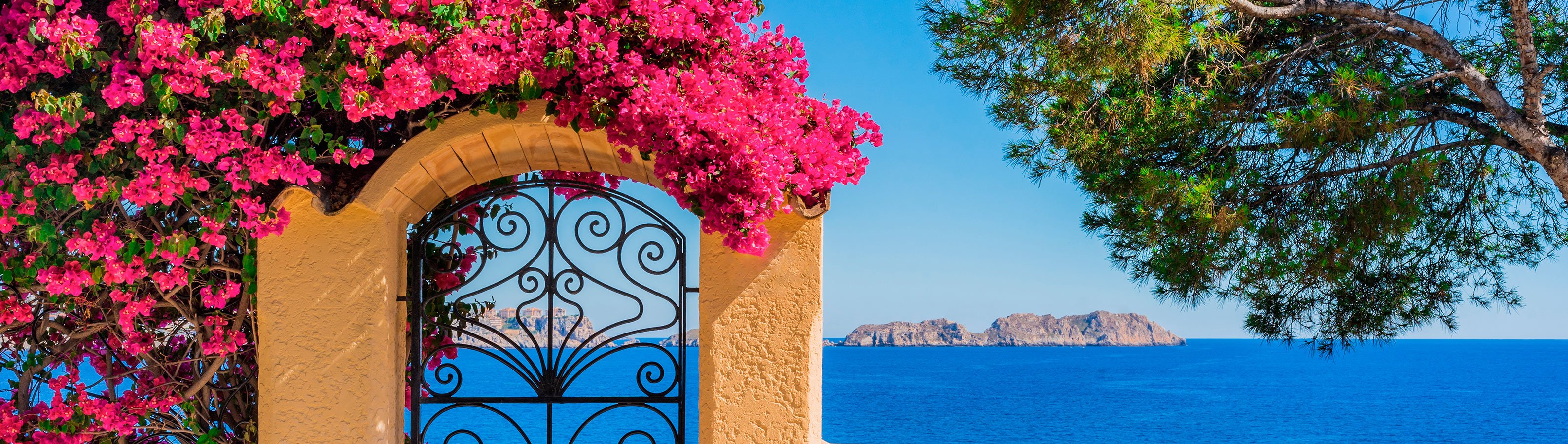 itineraryImageDesktop