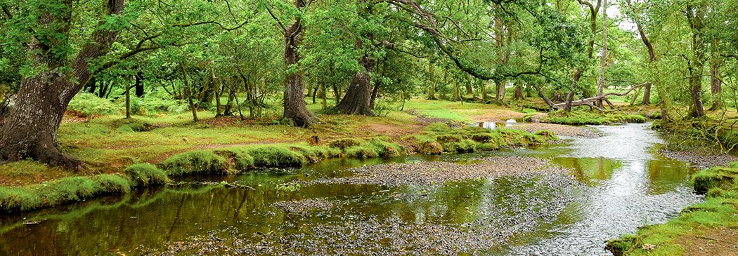 itineraryImageDesktop