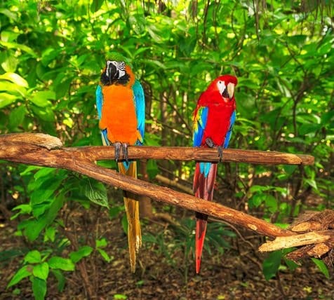 fyc_soa_11_mobile Mobile Image