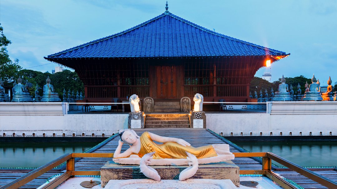 MSC World Cruise, Colombo | MSC Cruises