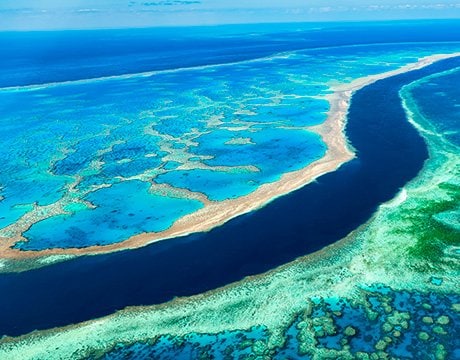 MSC World Cruise 2026 | MSC Cruises MSC World Cruise 2026 | MSC Cruises