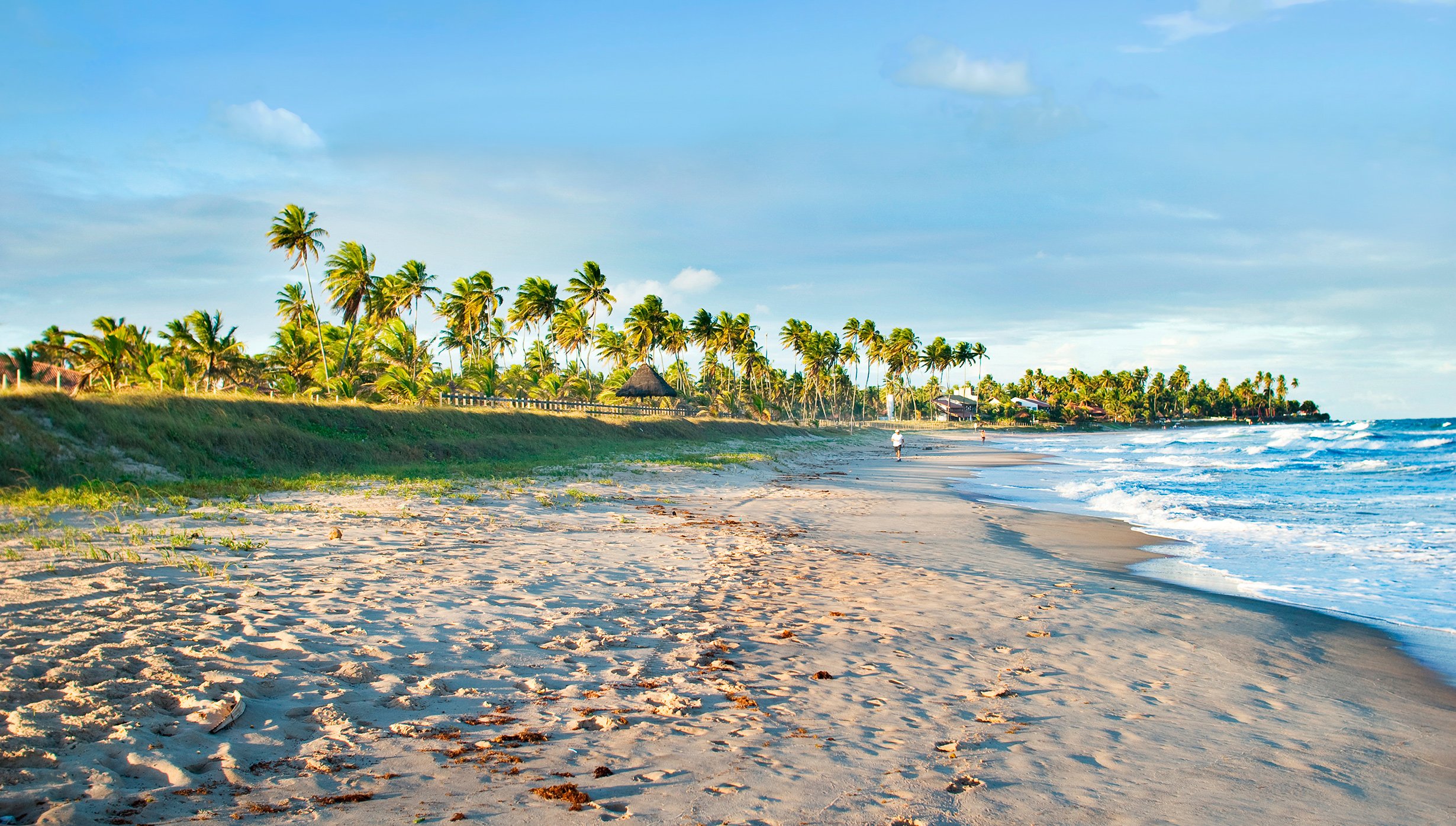 Recife Cruise Recife Cruise
