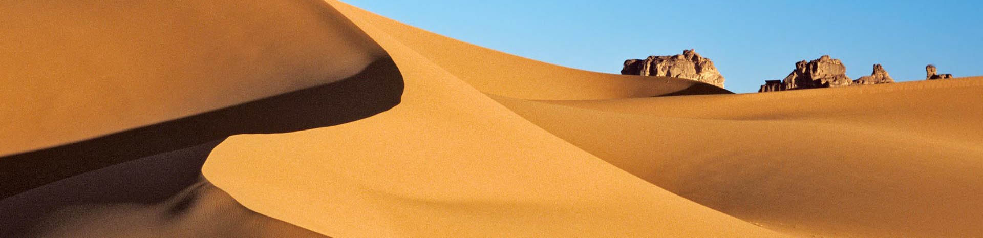 Dakar Cruise Dakar Cruise