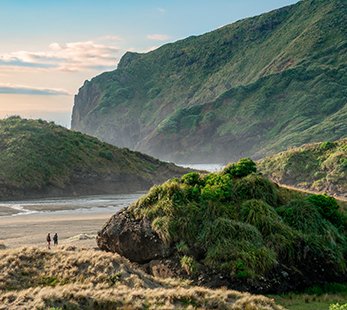 A stunning coastal view featuring lush hills and a beach | MSC Cruises