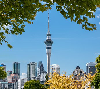The iconic Sky Tower in Auckland with a modern skyline | MSC Cruises