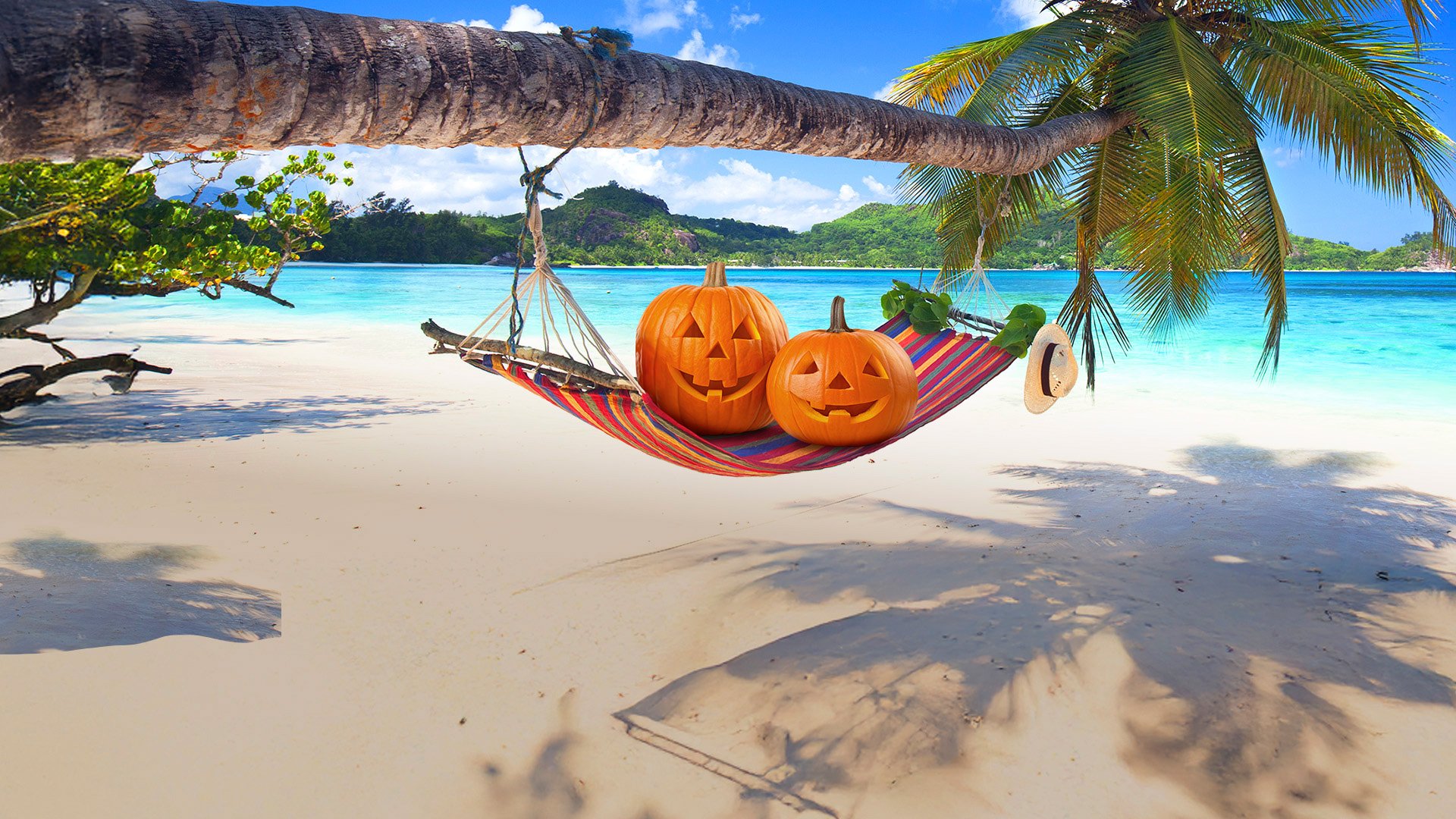 Halloween Deals | MSC Cruises Halloween Deals | MSC Cruises