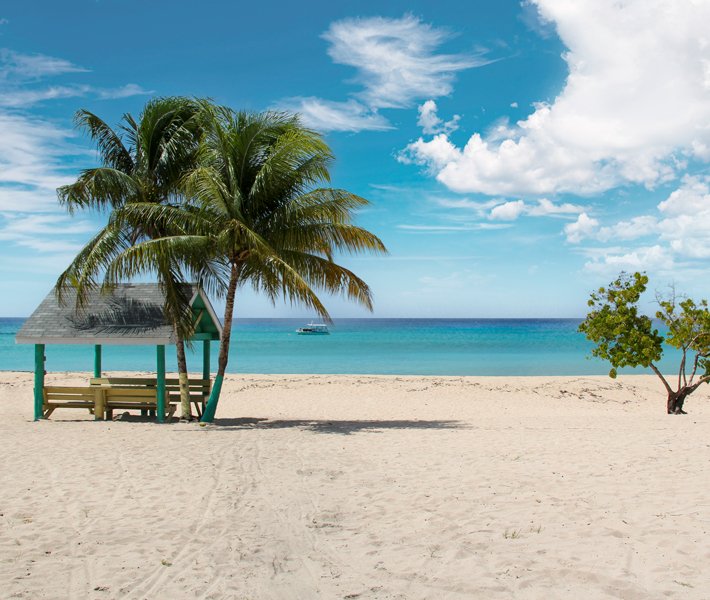 Cruises in the Caribbean| MSC Cruises