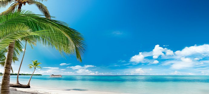 Cruises in La Romana, Dominican Republic | MSC Cruises Cruises in La Romana, Dominican Republic | MSC Cruises